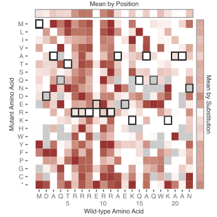 Deaminase-based RNA recording enables high throughput mutational profiling of protein-RNA interactions graphical abstract