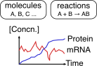 Kinetic Modeling